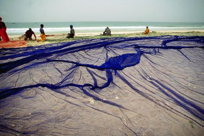 Mauritania. Caught in the Nets of the Fishing Mafia. - News & views from  emerging countries